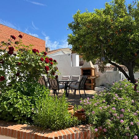 El Patio De Los Naranjos 구아달루페 외부 사진